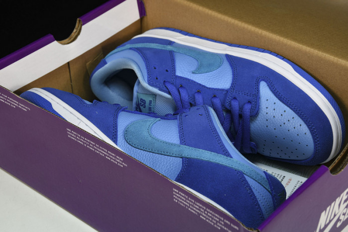 nike sb dunk low pro dm0807-400