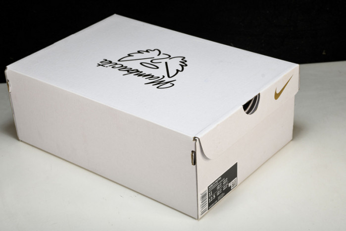 nike kobe 4 protro mambacita gigi fj9363-100