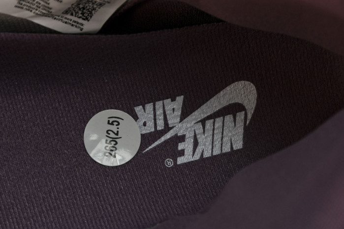 jordan 1 high og “mauve” dz5485-105