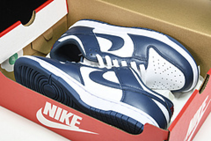 nike dunk low valerian blue dd1391-400