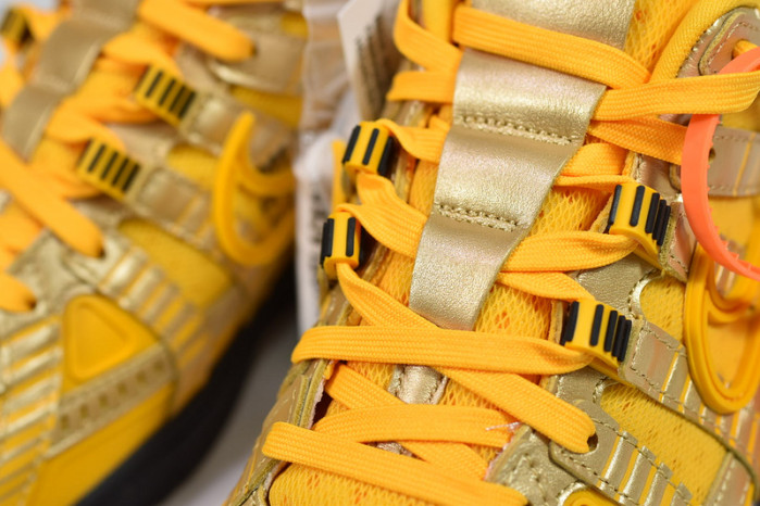 of nike air rubber dunk 