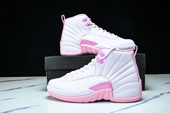 Air Jordan 12 510815-600