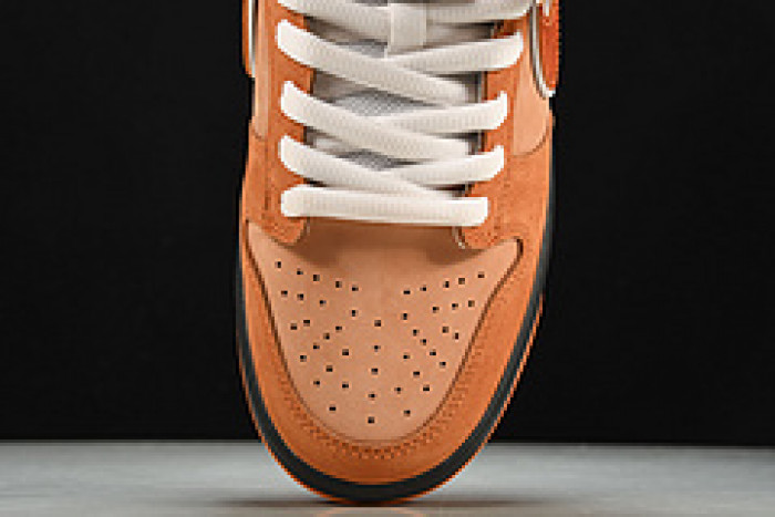 concepts x nike sb dunk low “orange lobster” fd8776-800