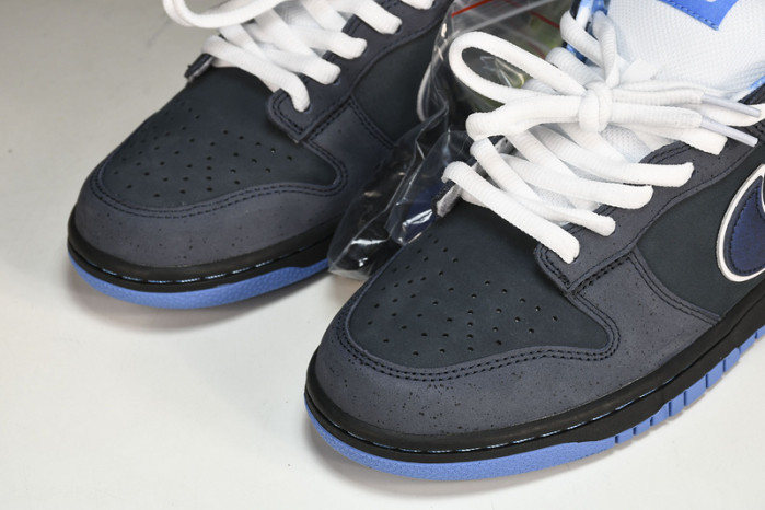nike dunk sb low blue lobster 313170-342