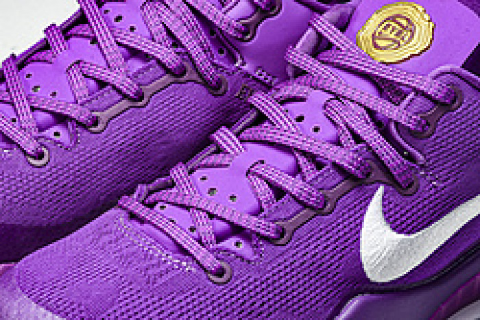 Nike Kobe 8 Protro EYBL HJ7265-500
