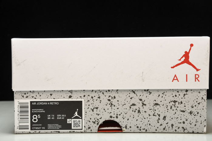 jordan 4 retro sb - ct8527-120