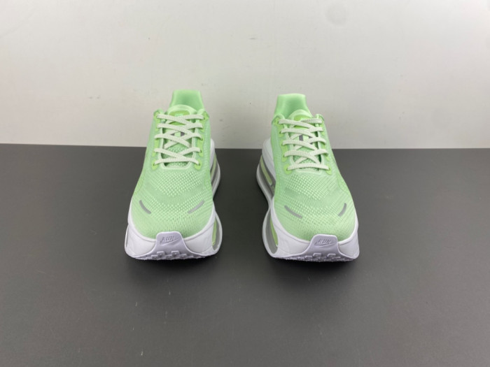 Nike Pegasus Premium FN8453-023