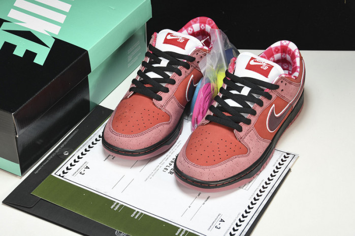 nike sb dunk low concepts red lobster 313170-661