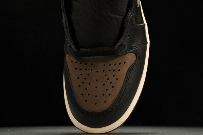 jordan 1 retro high og palomino dz5485-020